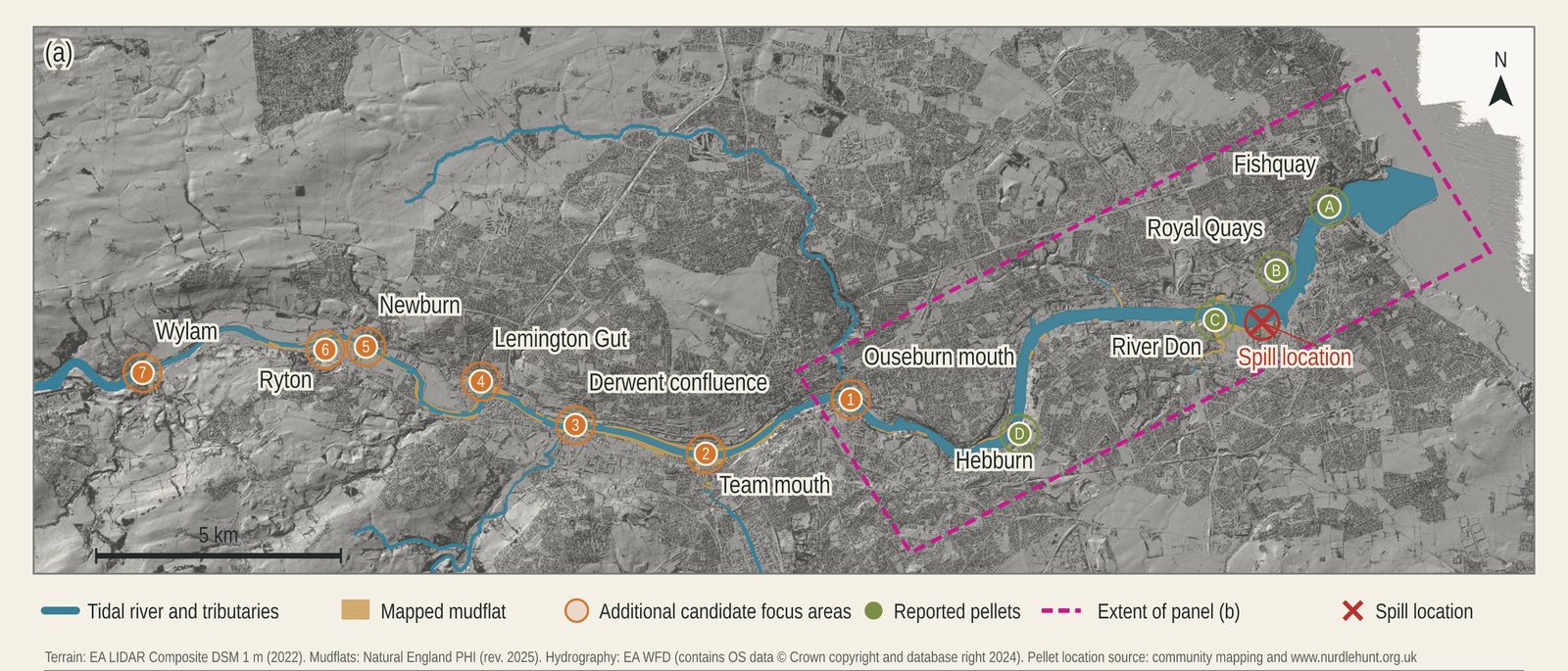Map of the tidal River Tyne from Wylam in the west to the river mouth in the east. It marks the spill location near the River Don, sites where pellets have been reported (Fish Quay, Royal Quays, River Don and Hebburn), and seven candidate focus areas upstream including the Ouseburn mouth, Team mouth, Derwent confluence, Lemington Gut, Newburn, Ryton and Wylam.